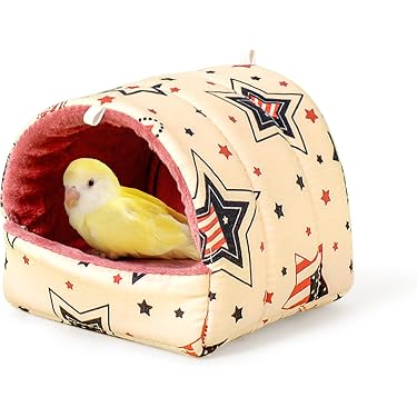 Amazon.com Gift Ideas: The most popular items ordered as gifts in